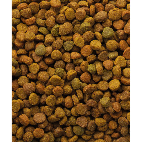 Versele-Laga Classic Pienso Para Gatos Oke croqueta