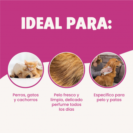 Inodorina Toallitas Funcional Todo Tipo de Pelajes 40 Uds