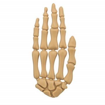 Trixie Snack Mano Hueso con...