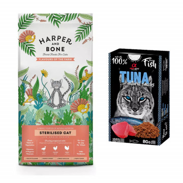 Harper and Bone Cat...