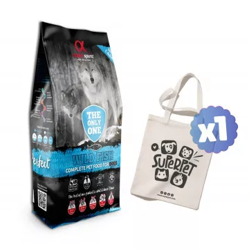 Alpha Spirit The Only One...