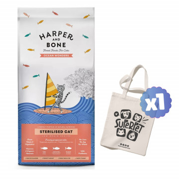 Harper and Bone Cat...