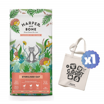 Harper and Bone Cat...