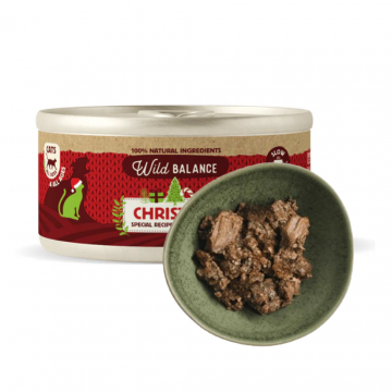 Pack Especial de Navidad para Gatos