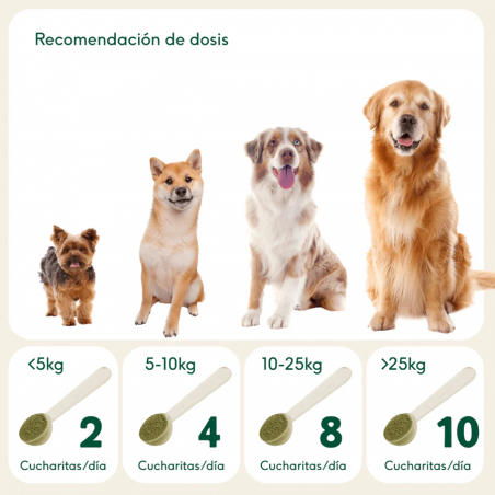 Wild Balance GOLDEN CÚRCUMA suplemento para perros y gatos