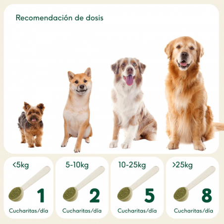 Wild Balance CÁSCARA DE HUEVO ORGÁNICO suplemento para perros y gatos