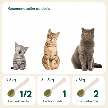 Wild Balance CÁSCARA DE HUEVO ORGÁNICO suplemento para perros y gatos