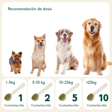 Wild Balance CÁSCARA DE ESCARAMUJO suplemento para perros y gatos