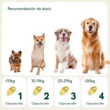 Wild Balance PERLAS OMEGA 3 para perros y gatos