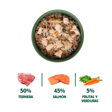 Wild Balance Gato Lata BARF cocinado al vapor SALMÓN y TERNERA con Verduras Frescas