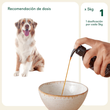 Wild Balance ACEITE SALMÓN NORUEGO para perros y gatos