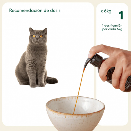 Wild Balance ACEITE SARDINA DEL MAR DEL NORTE para perros y gatos