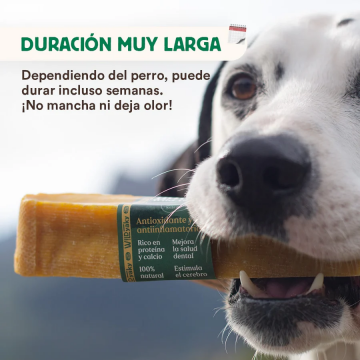 Wild Balance WILD YAKI GOLDEN CÚRCUMA para perros