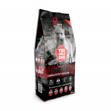 Alpha Spirit The Only One...