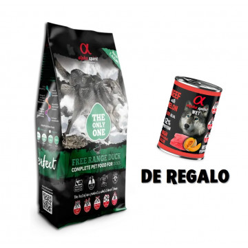 Alpha Spirit The Only One Pato