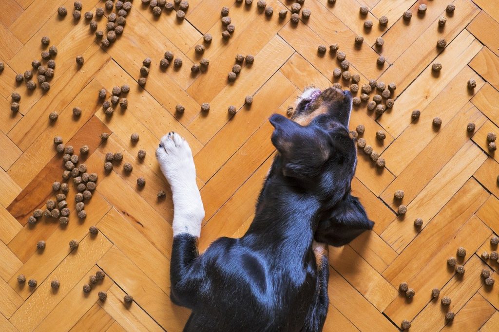 Pienso hipoalergénico para perros