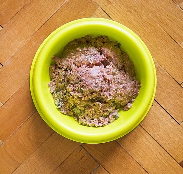 Comida Húmeda para gatos y piensos secos para felinos. 