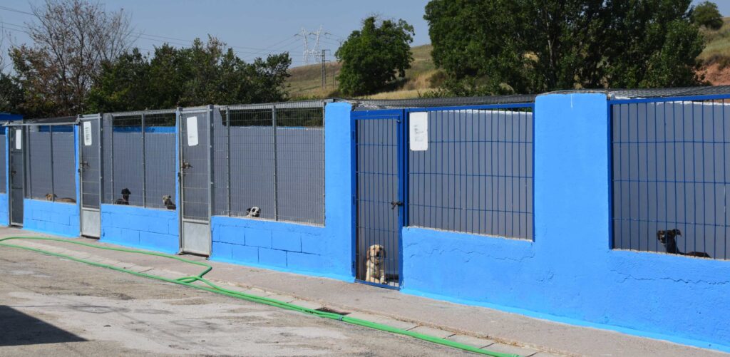 Gaiolas da organização de protecção dos animais de Burgos