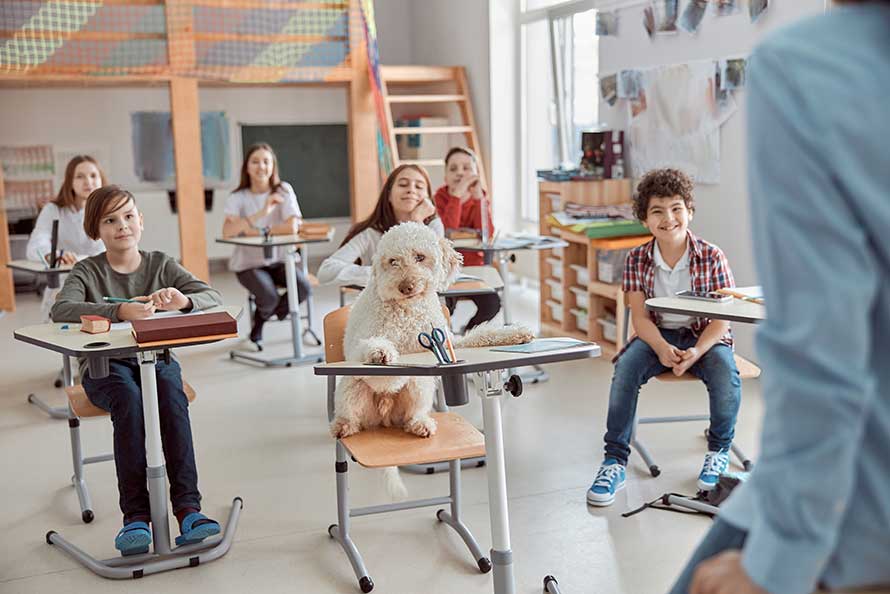 Perro y niños vuelta a la rutina en el colegio