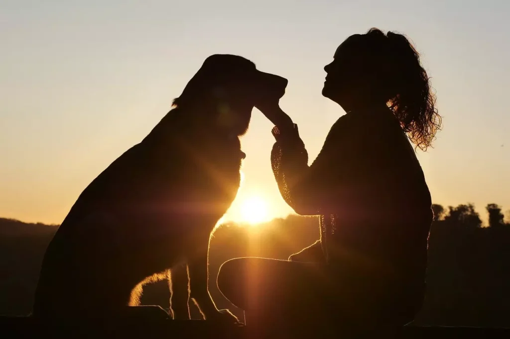 cães de apoio emocional