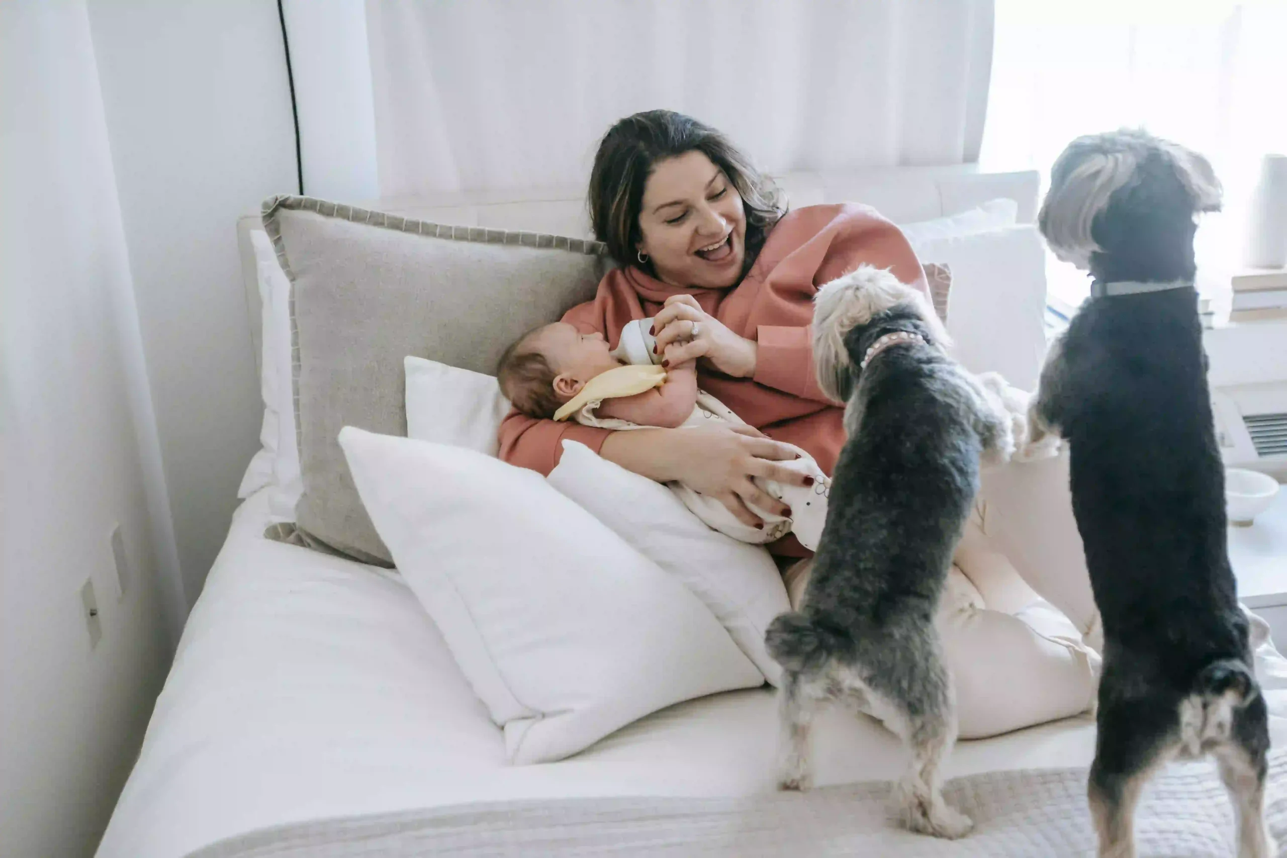 Como adaptar o seu cão à chegada de um bebé à família?