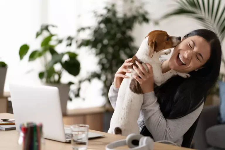 alimentar a tu perro con Lenda