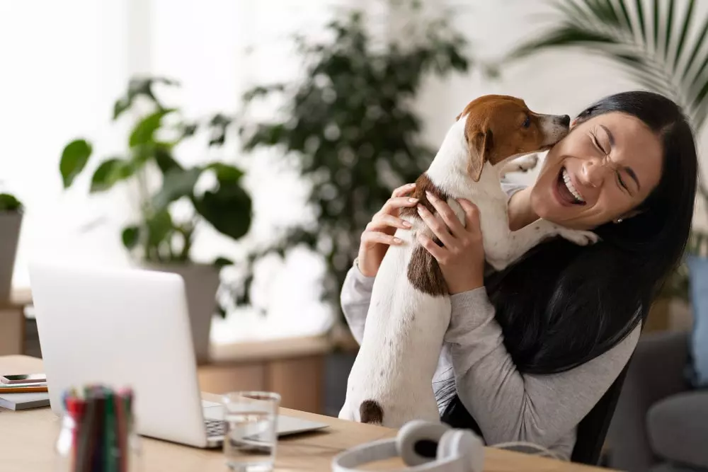 alimentar a tu perro con Lenda