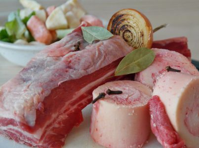 Bases da dieta do vómito em cães e gatos.