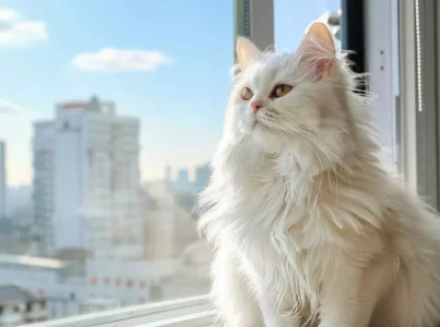 color de pelo de los gatos