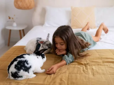 ¿Cómo cuidar a un conejo?