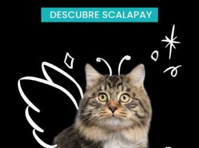 Ya puedes pagar tus compras en Superpet con Scalapay