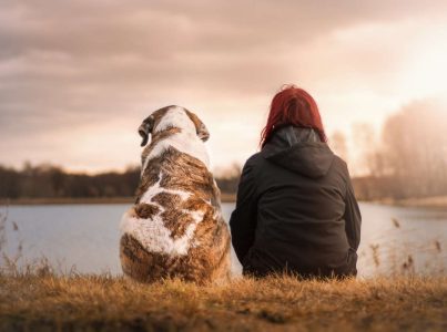 5 benefícios de estabelecer um calendário de alimentos para cães.