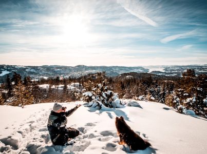 Como proteger o seu cão do frio? .