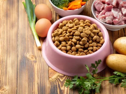 ¿Cómo saber si un pienso es de calidad?