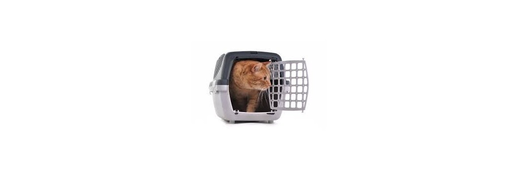 Transportín para gato