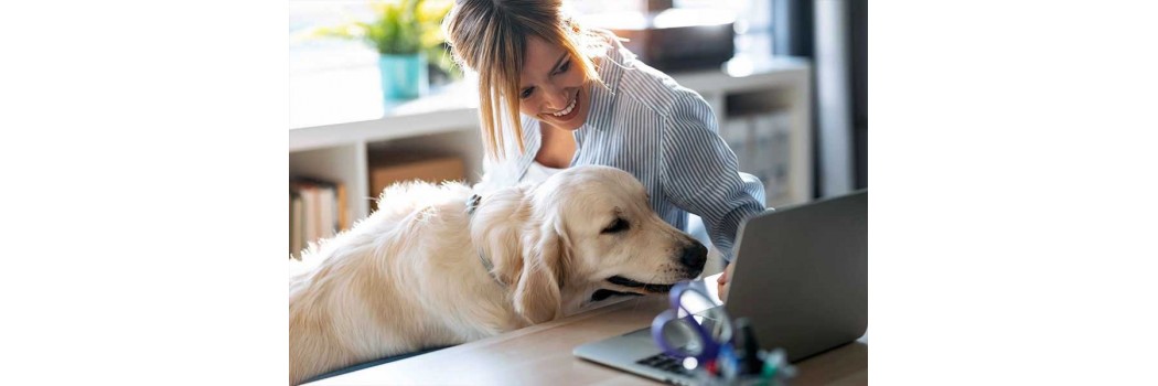 OFERTAS en piensos y accesorios para mascotas - Superpet