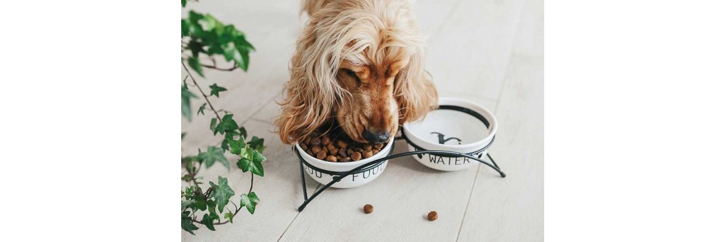 Pienso hipoalergénico para perros - Superpet