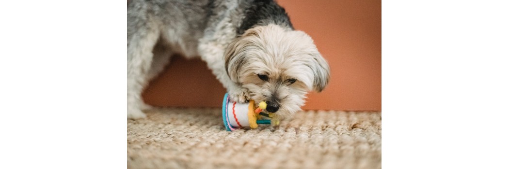 Ricos snacks para cachorros