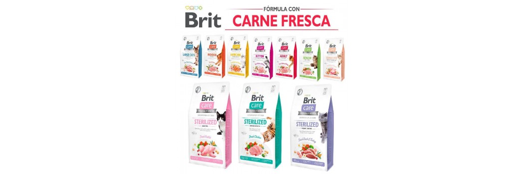 Pienso BRIT para gatos - Superpet