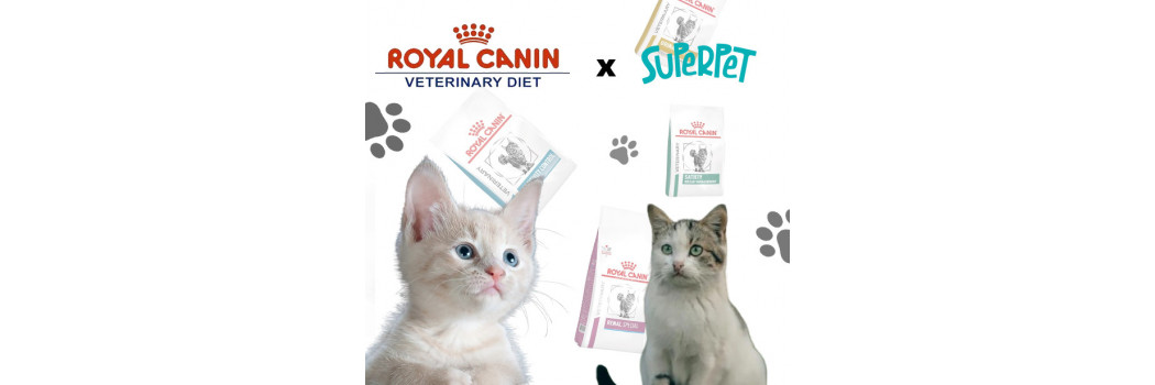 Pienso Royal Canin gama Veterinaria para gatos