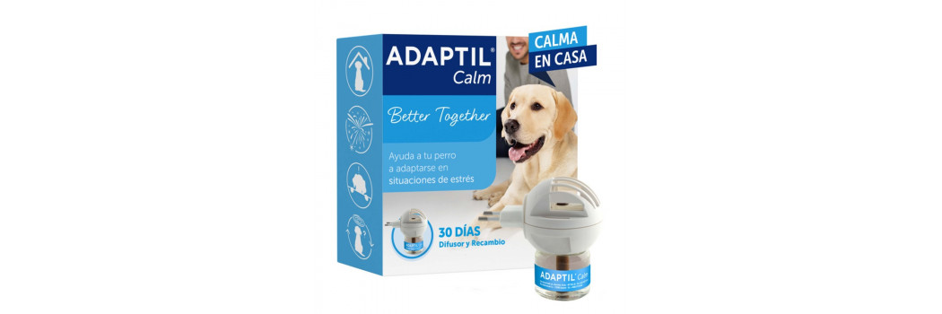 Productos relajantes y antiestrés para perros - Superpet