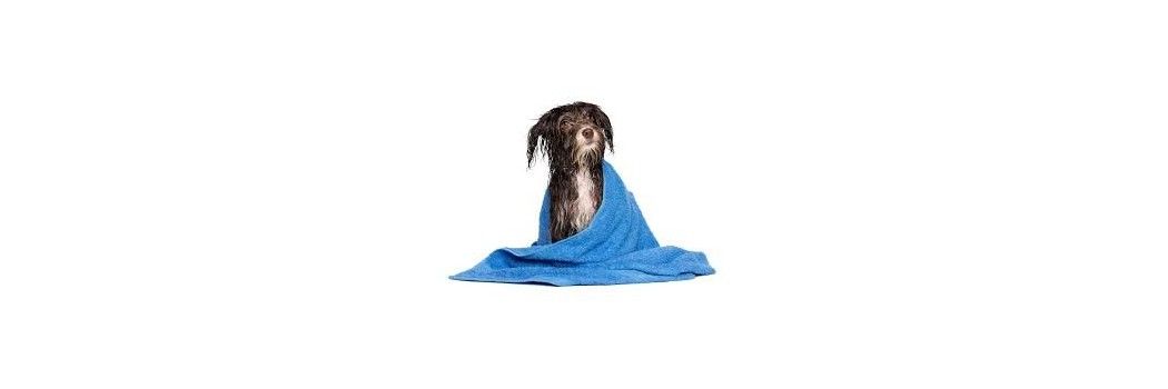 Higiene y salud animal para perros