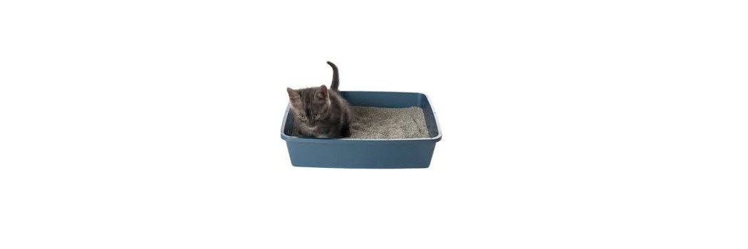 Areneros para gatos