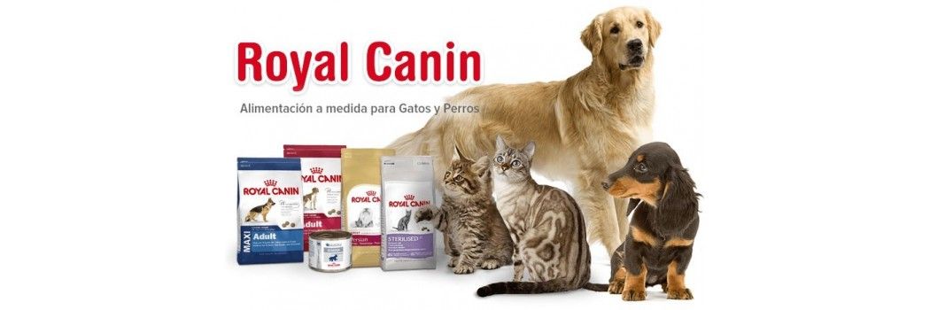 Piensos ROYAL CANIN para perros - Superpet