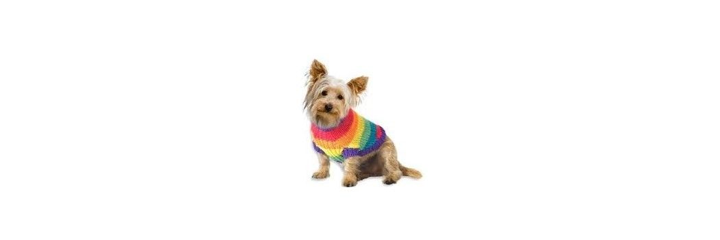 Ropa para perros: abrigos, jerseys y chalecos