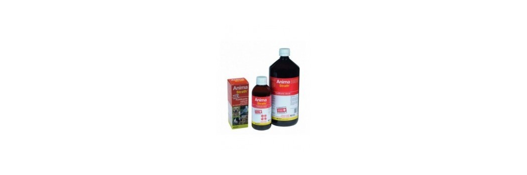 Suplementos nutricionales para perros