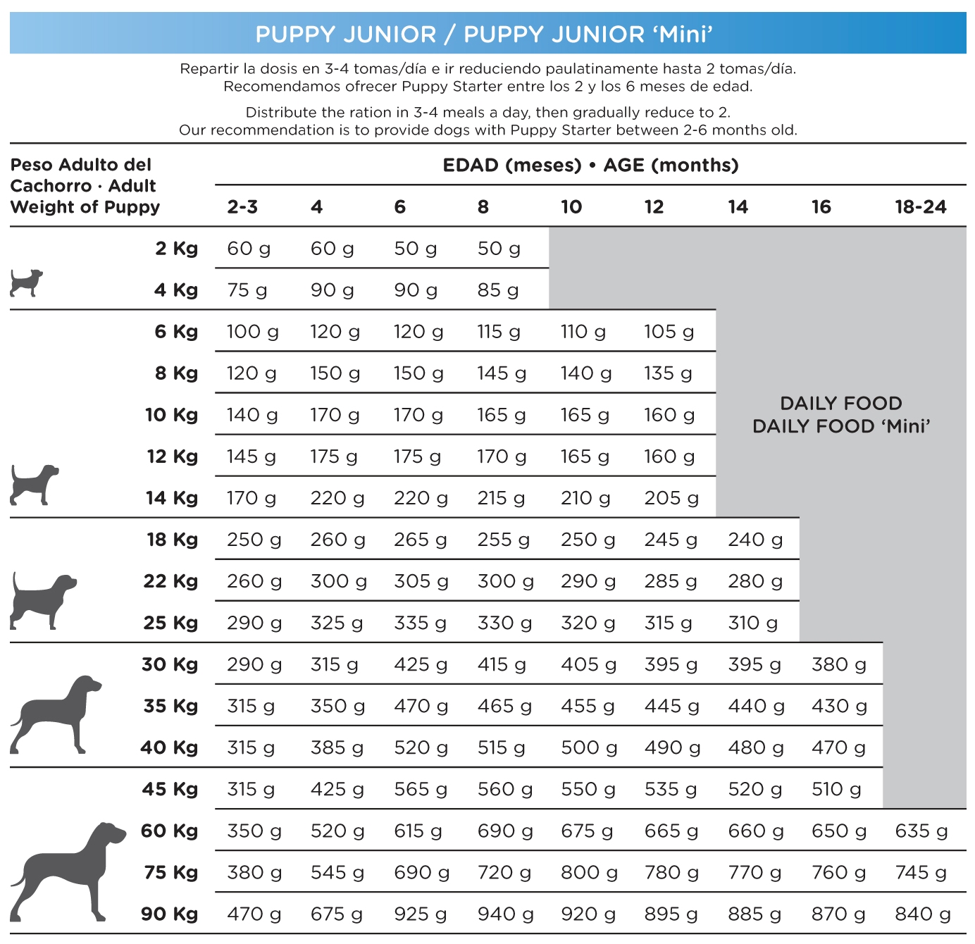 nd%20puppy%20junior%20mini.jpg